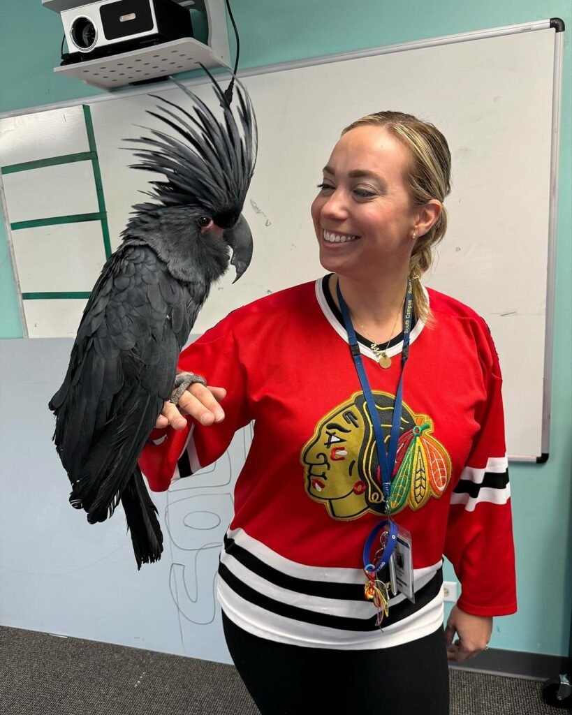 Lifetime Support for Bird Owners