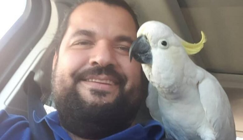 Cockatoo Parrots for Sale in Placer County, CA