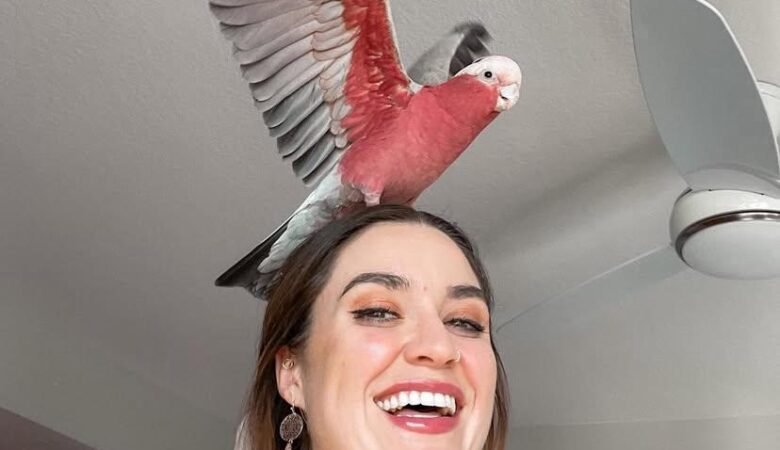 Cockatoo Parrots for Sale in Inyo County, CA