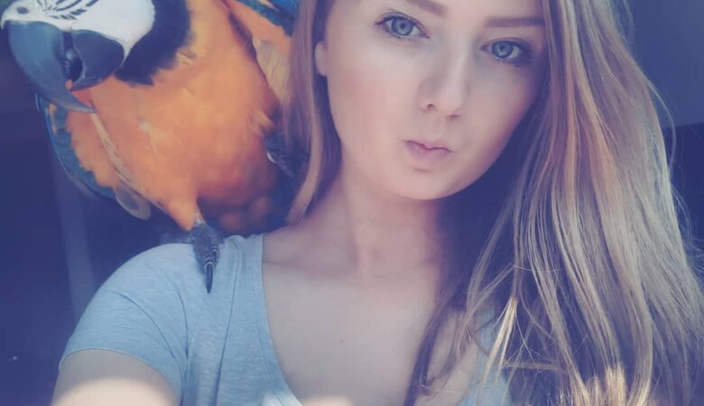 Macaws for sale in New York