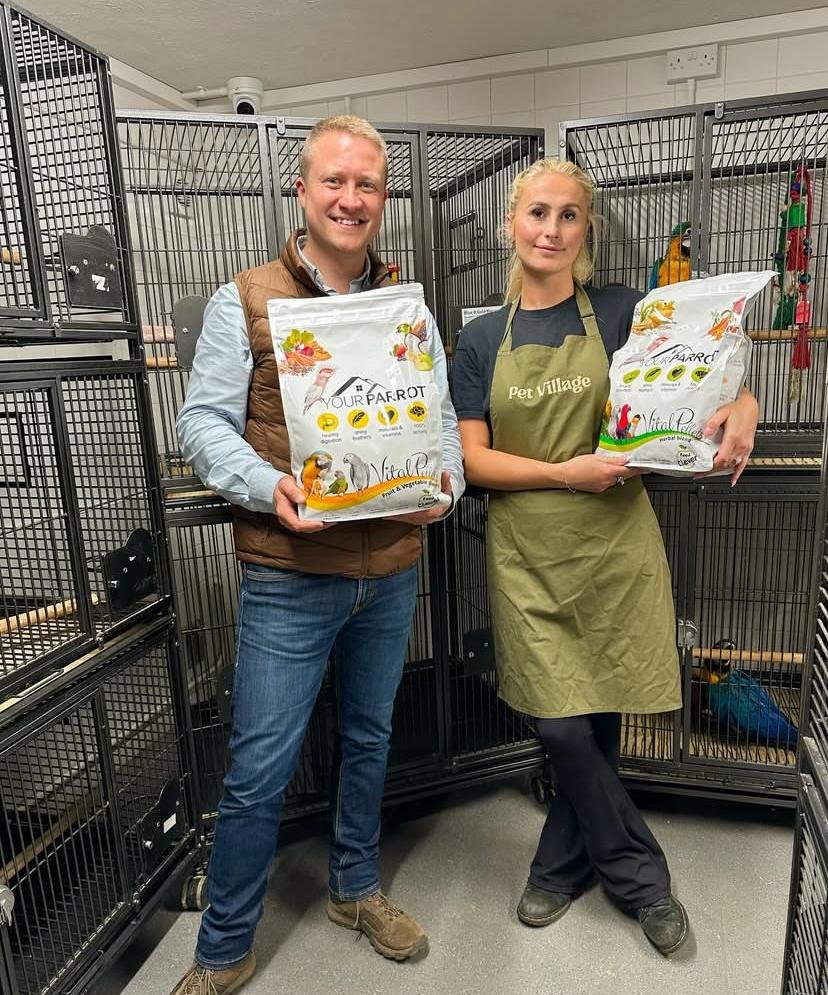 Cockatoo parrots for sale in Southland District