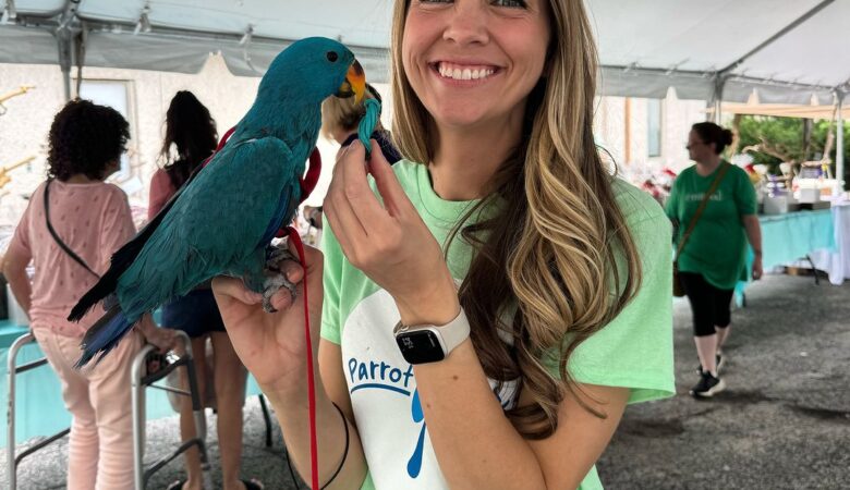 Macaw parrots in United Arab Emirates