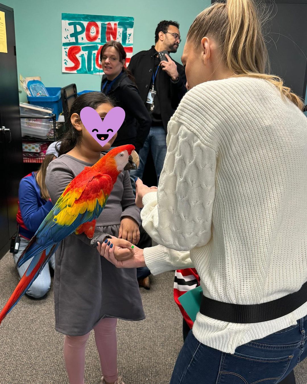 What paperwork or certificates should come with a macaw