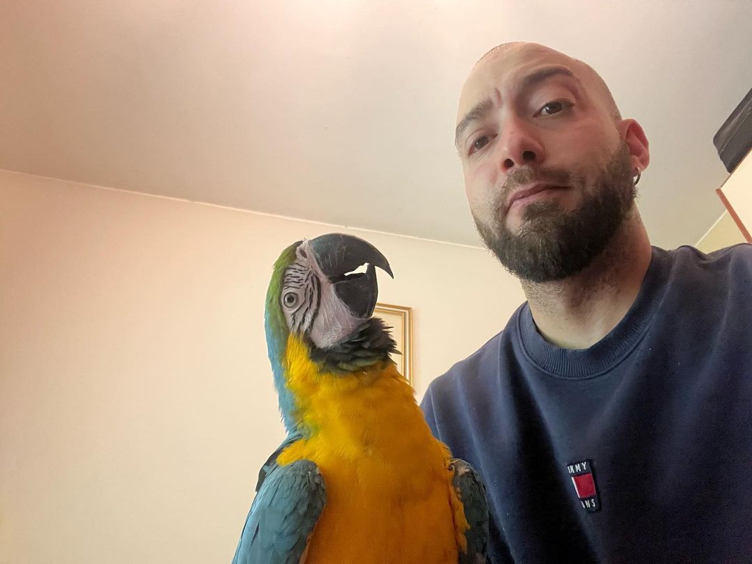 How do I stop a macaw from biting