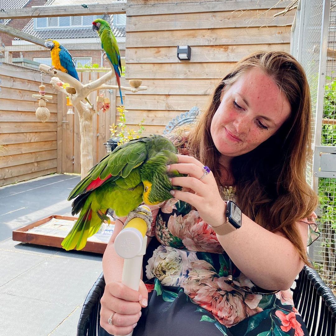 Are macaw easy to train