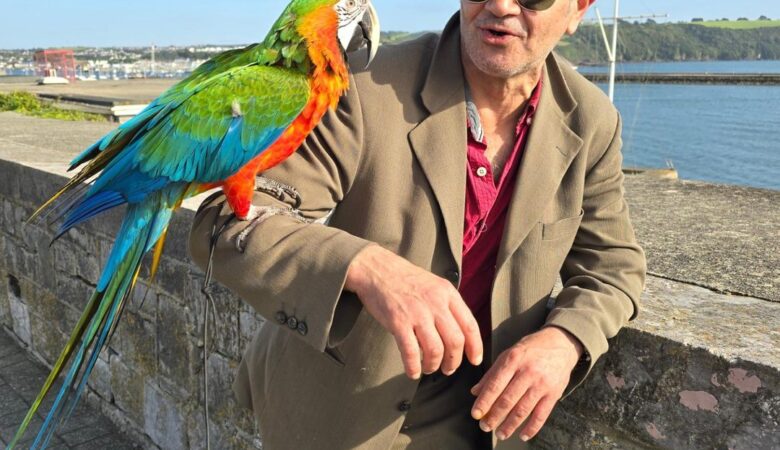 Macaws in California