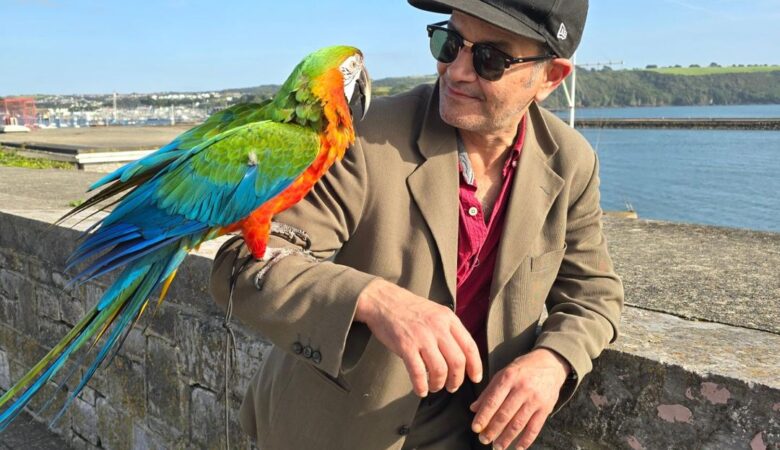 Macaw birds for sale in Iowa