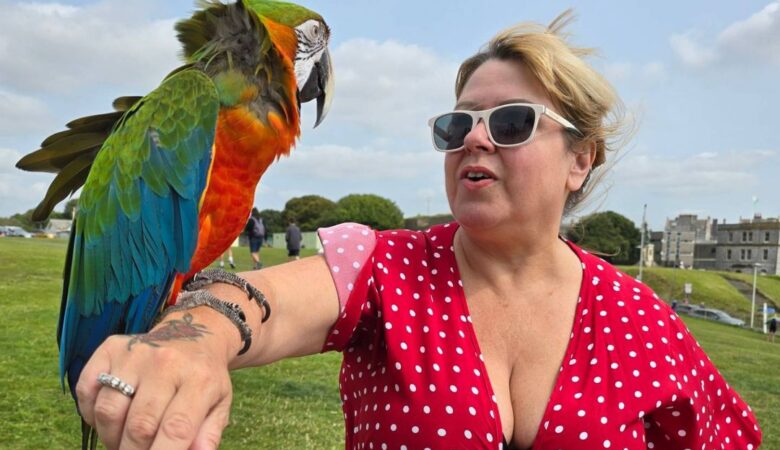 Macaw parrots for sale in Mexico