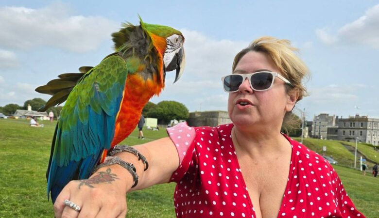 Macaw parrots for sale in France