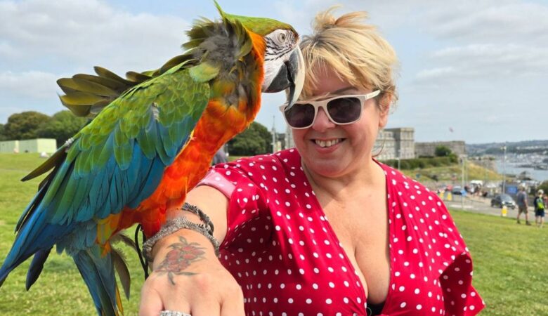 Macaw parrots for sale in Germany