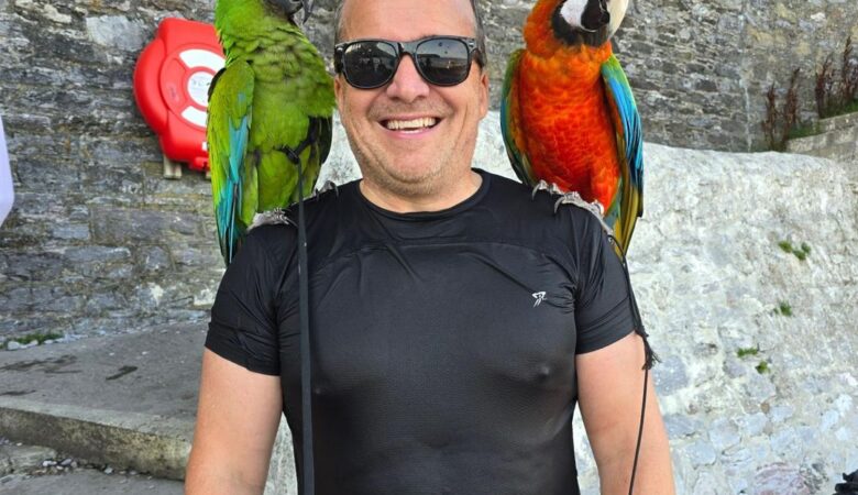 Macaws for sale in France