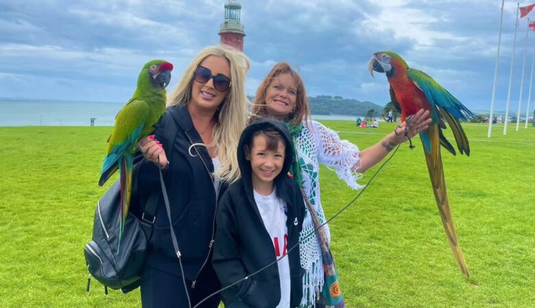 Macaw parrots in Hawaii