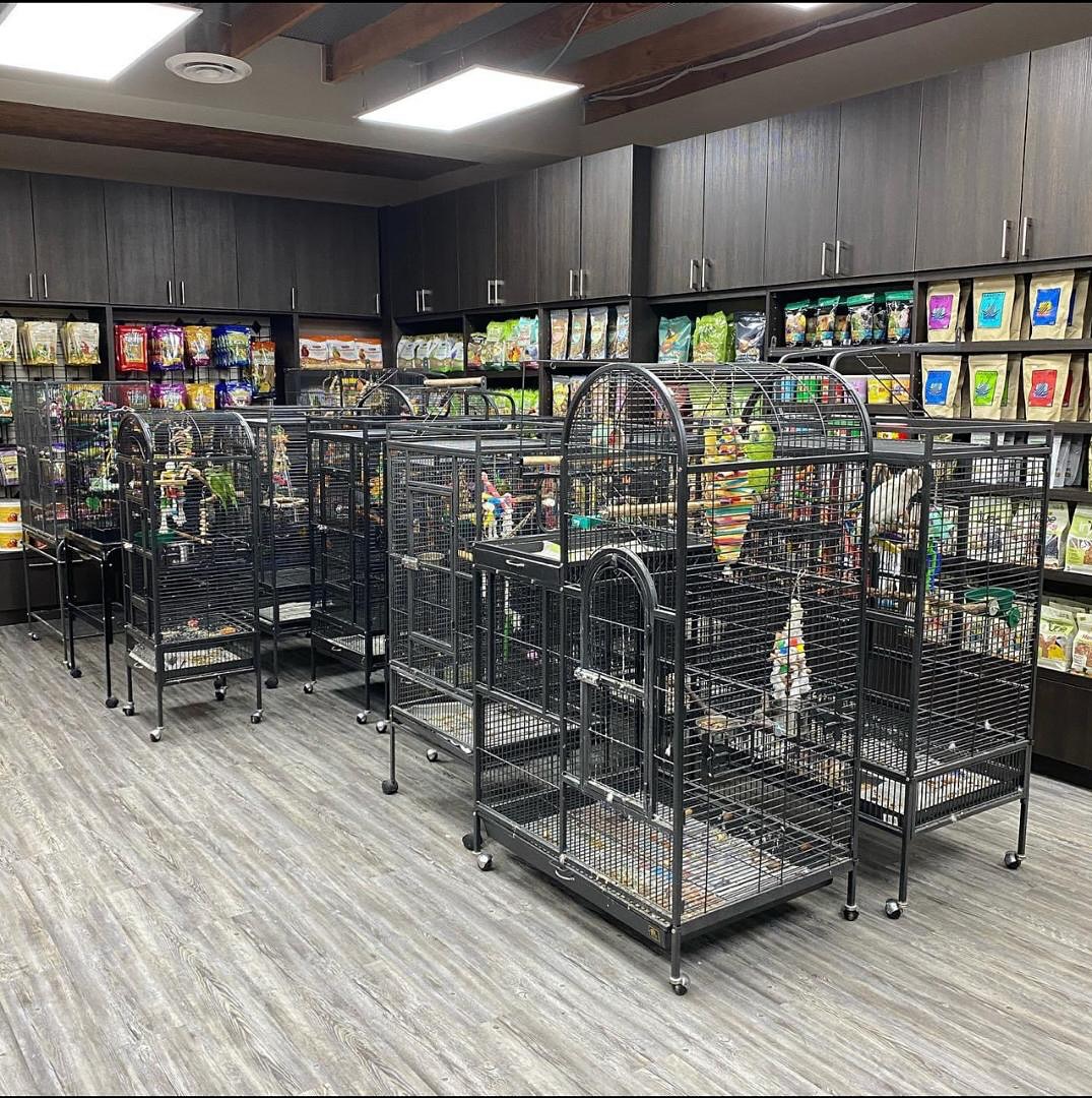 Are macaw legal to own in every state