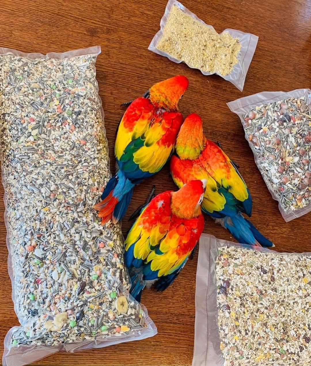 Can macaws eat fruits and vegetables