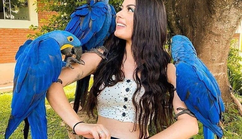 macaw parrots for sale in Fairfield, CA