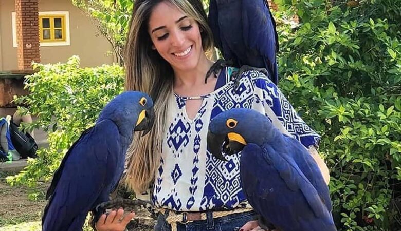 Macaw parrots for sale in Lassen County