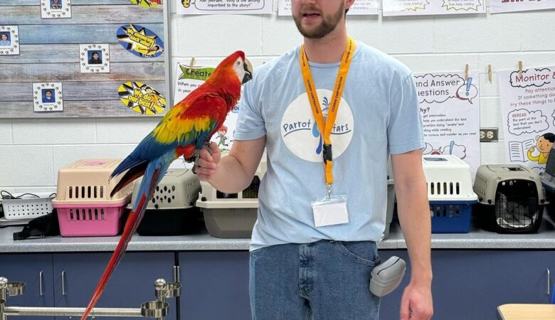 Military Macaw parrots for sale in Ohio