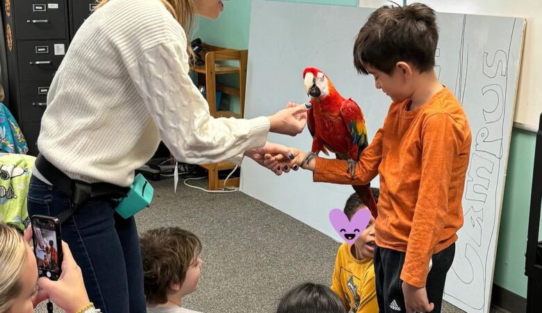 Macaw parrot breeders in Norway