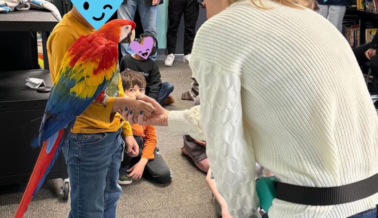 Macaw parrot breeders in Netherlands