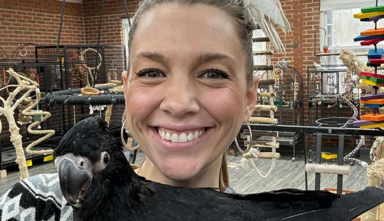 Macaw parrot breeders in Canada