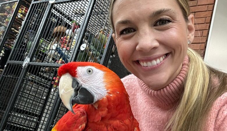 Macaw parrot breeders in France