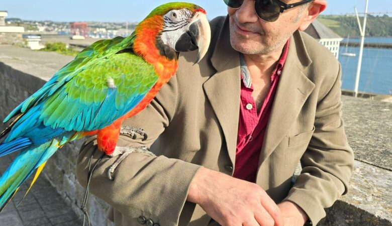 Macaw parrot breeders in New Jersey