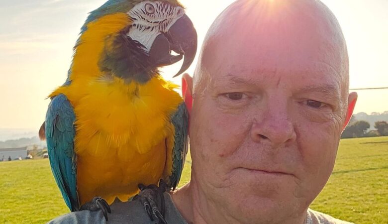 Macaw parrot breeders in Minnesota