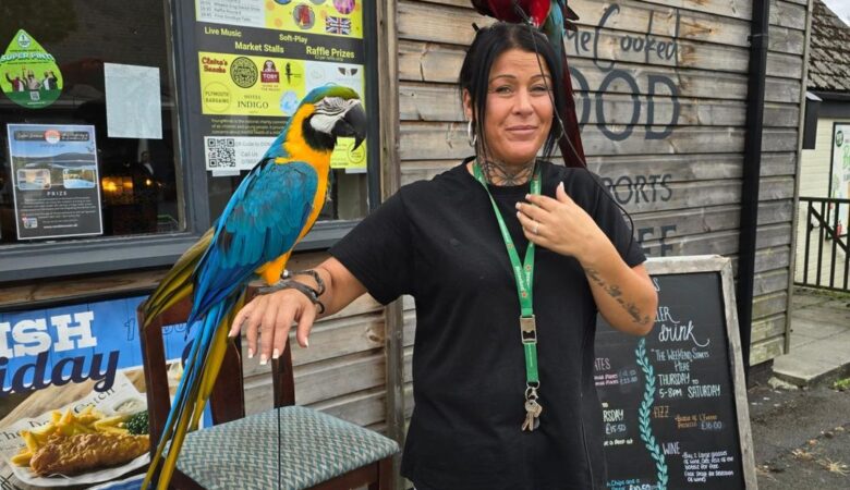 Scarlet Macaw parrots for sale in Kentucky