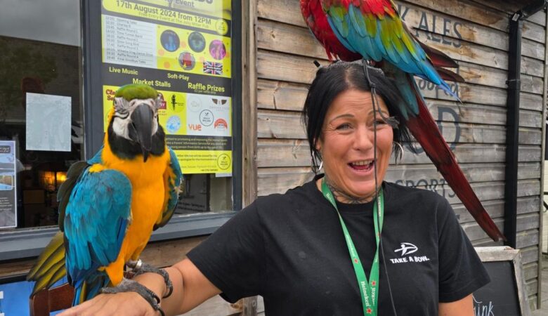 Military Macaw parrots for sale in South Dakota