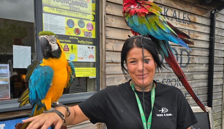 Military Macaw parrots for sale in Tennessee