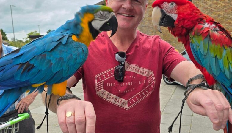 Military Macaw parrots for sale in Virginia