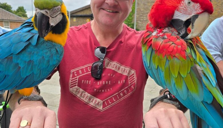 Macaw parrots for adoption in Wisconsin