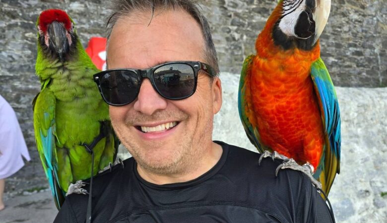 Macaw parrots for adoption in Utah