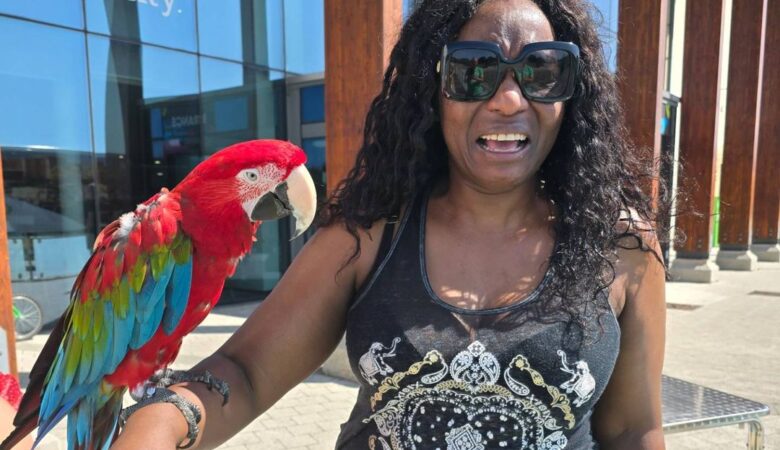 macaw parrots for sale in Long Beach, CA