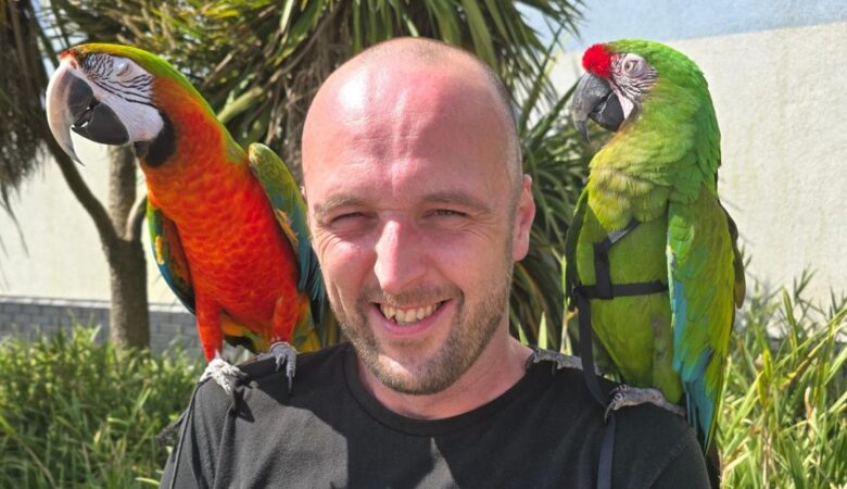 Hyacinth Macaw parrots for sale in South Carolina