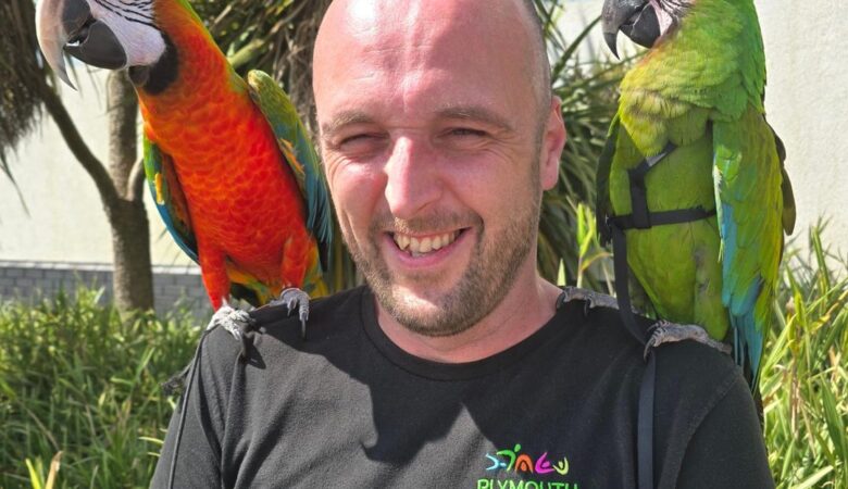 macaw parrots for sale in Merced, CA