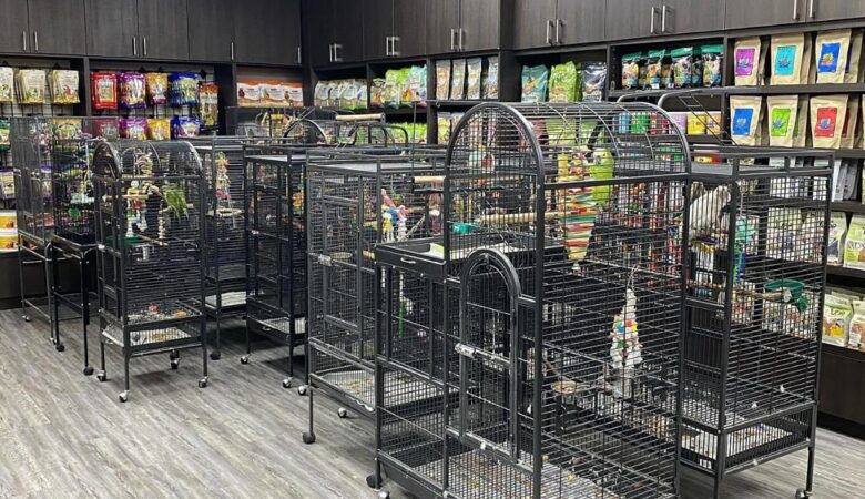 Macaw parrot breeders in North Dakota